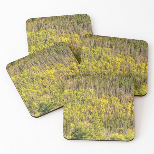 Item preview, Fall is Coming // Colorful Woodland Tree Landscape Yellow and Green Leaf Photograph designed and sold by catbyrdcolorado.
