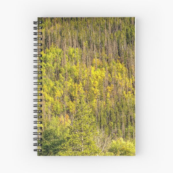 Item preview, Fall is Coming // Colorful Woodland Tree Landscape Yellow and Green Leaf Photograph designed and sold by catbyrdcolorado.