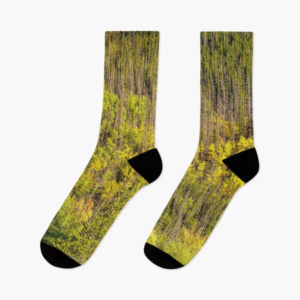 Item preview, Fall is Coming // Colorful Woodland Tree Landscape Yellow and Green Leaf Photograph designed and sold by catbyrdcolorado.