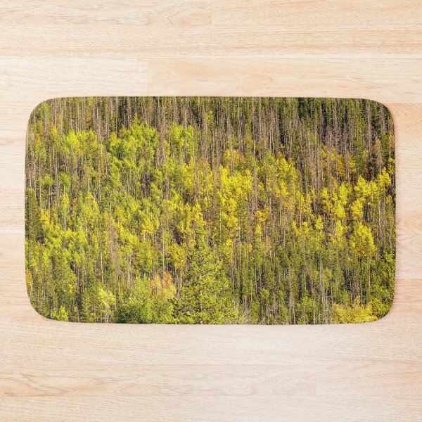 Item preview, Fall is Coming // Colorful Woodland Tree Landscape Yellow and Green Leaf Photograph designed and sold by catbyrdcolorado.