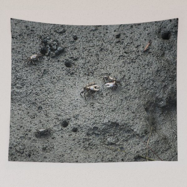 Item preview, Fiddler crab 2 designed and sold by KensLensDesigns.