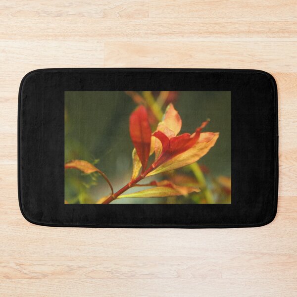 Item preview, Ludwigia Repens - Red Aquarium Plant designed and sold by killies.
