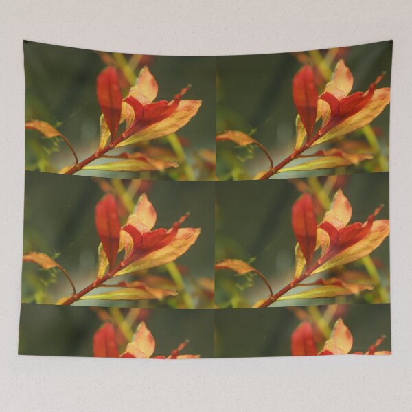 Item preview, Ludwigia Repens - Red Aquarium Plant designed and sold by killies.