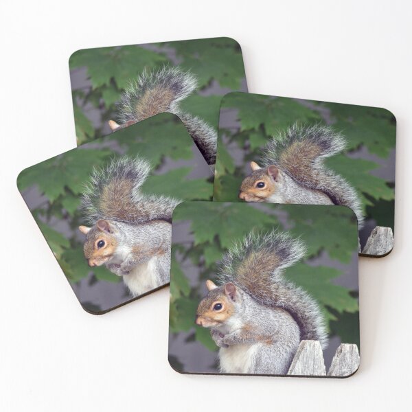 Item preview, Squirrel designed and sold by Maureen Zaharie.