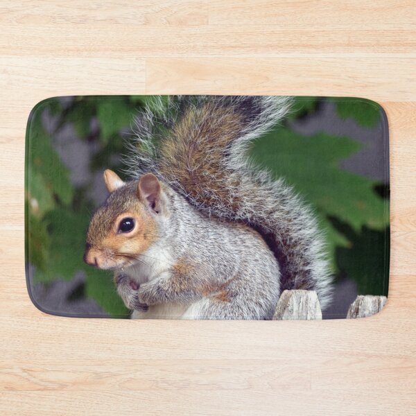 Item preview, Squirrel designed and sold by Maureen Zaharie.