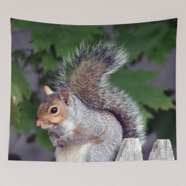Item preview, Squirrel designed and sold by Maureen Zaharie.
