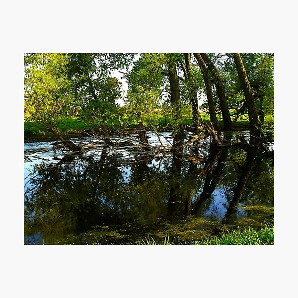 Water Color Reflections ! Photographic Print