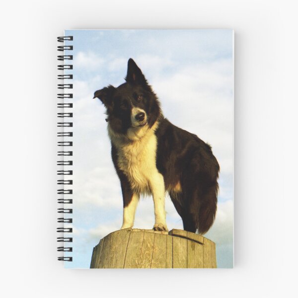 Item preview, Stumped designed and sold by Michael Haslam.