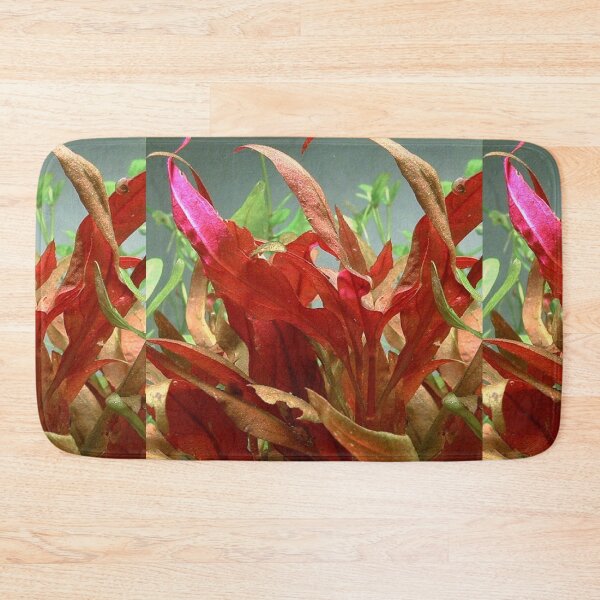Item preview, Alternanthera Reinecki Rosaefolia - Red Leaf Aquatic Plant designed and sold by killies.