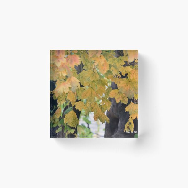 Item preview, Autumn Leaves designed and sold by Maureen Zaharie.