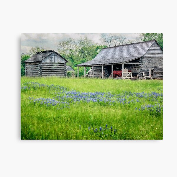 Bluebonnet Farm Canvas Print