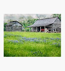 Bluebonnet Farm Photographic Print