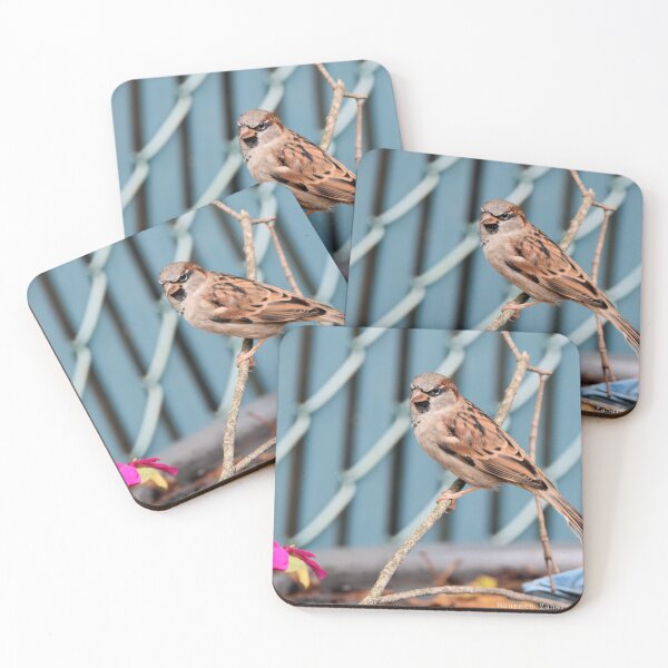 Item preview, Sparrow designed and sold by Maureen Zaharie.