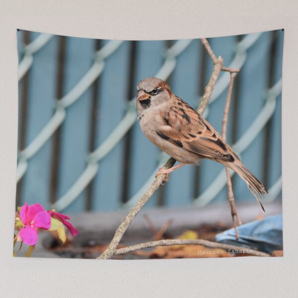 Item preview, Sparrow designed and sold by Maureen Zaharie.