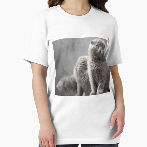Item preview, Scottish Fold kittens designed and sold by Evgeniy Lankin.
