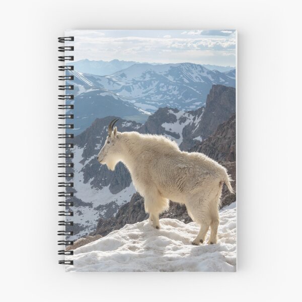 Item preview, Billy looking out over the mountains designed and sold by Eivor Kuchta.