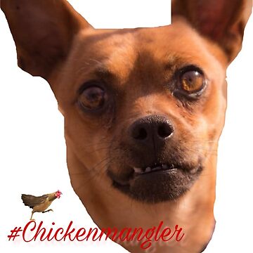Artwork thumbnail, Chihuahuas by racer0220