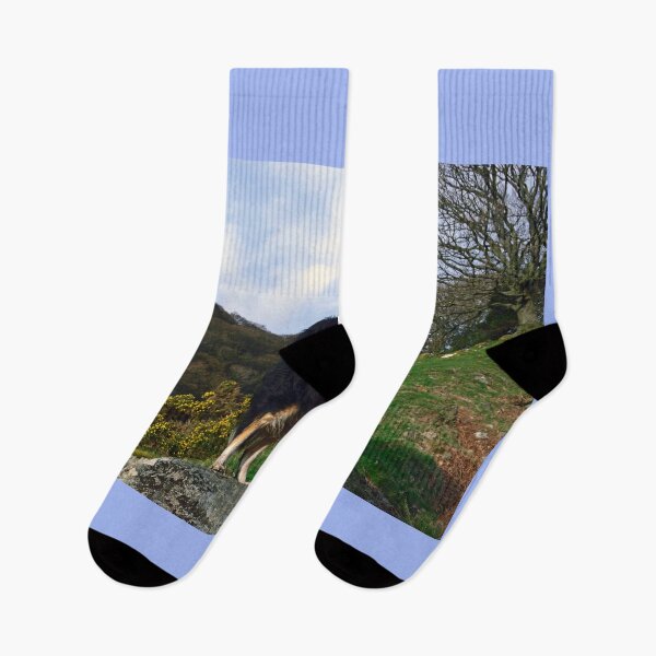 Item preview, My Ray of Sunshine. designed and sold by Michael Haslam.