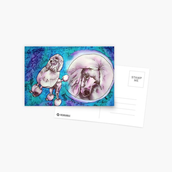 Standard Poodle Postcard