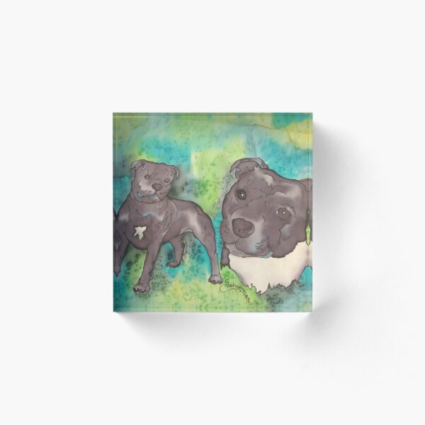 barbara green staffie rescue