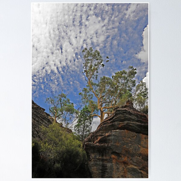 Item preview, Dunn's Swamp - Kandos NSW Australia designed and sold by Bev Woodman.