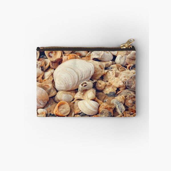Item preview, Seashells Background designed and sold by Texas Enfocus Photography.