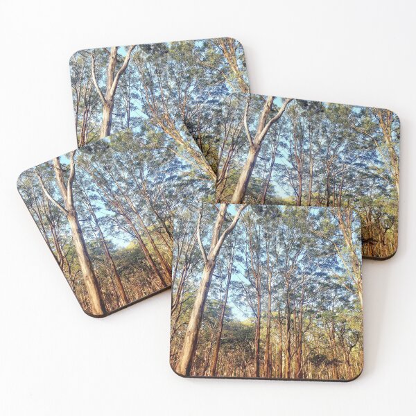 Item preview, Boranup Forrest, Margaret River designed and sold by kroges.