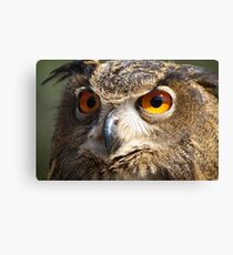 Those Eyes Canvas Print