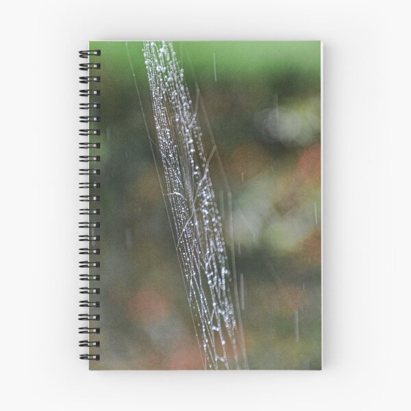 Item preview, Spider Web In The Rain designed and sold by lynn carter.