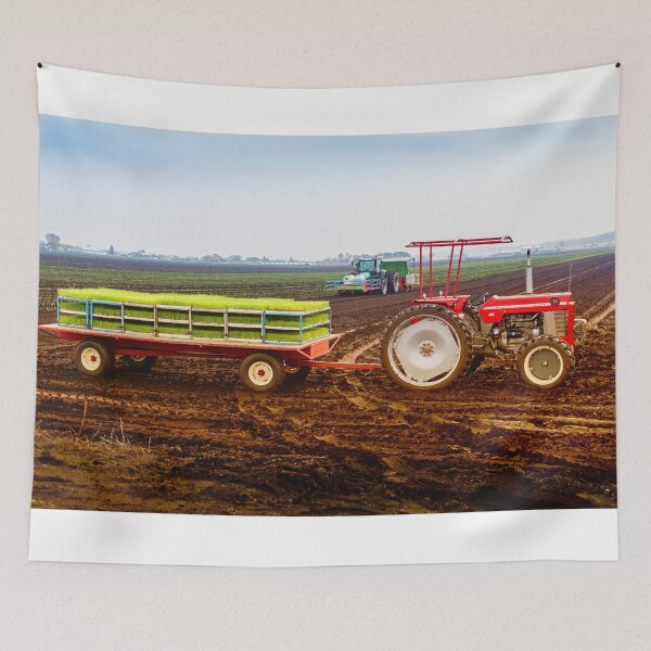 Item preview, Market Garden Planting designed and sold by Robert Alsop.
