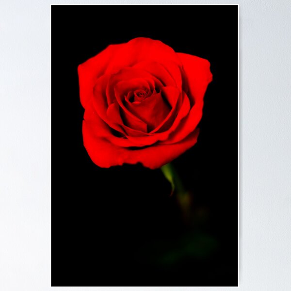 Item preview, Profoundly Tender designed and sold by Simon Marsden.