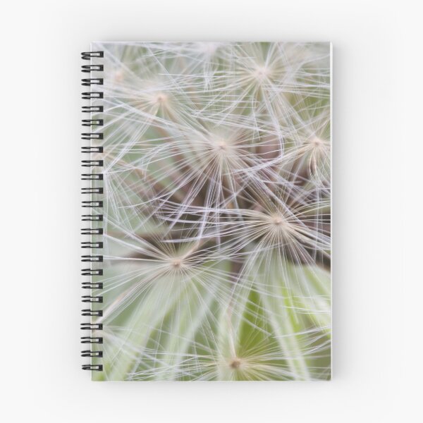 Item preview, White Seedling designed and sold by Texas Enfocus Photography.