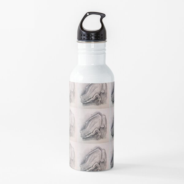 Southern Brown Tree Frog - Drawing by Avril Thomas - South Australian Artist Water Bottle