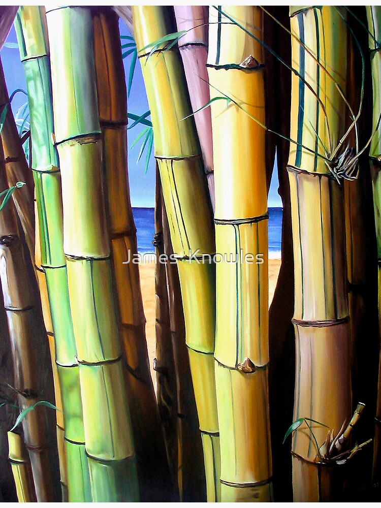 ""Bamboozled" oil painting of bamboo" Canvas Print by jknowles