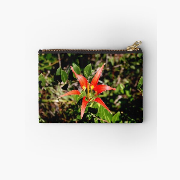 Item preview, Estrella designed and sold by mcleod.