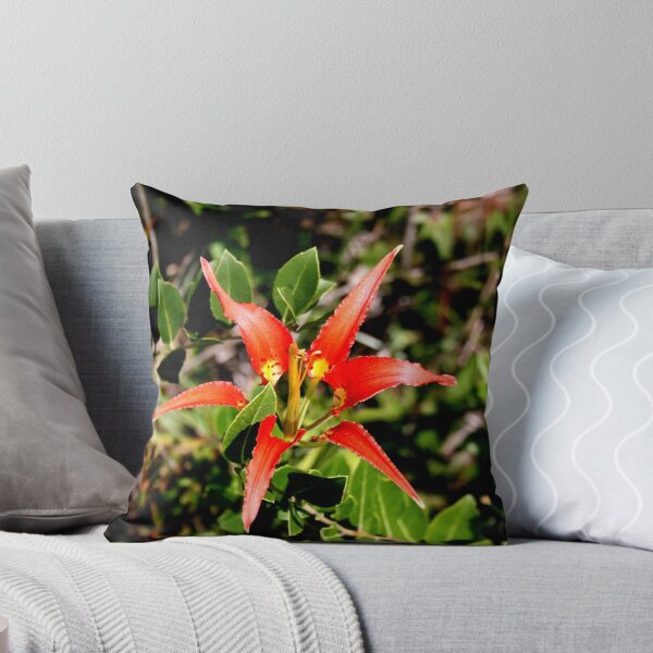 Item preview, Star designed and sold by mcleod.