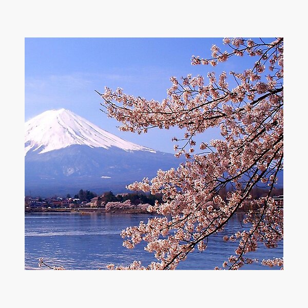 Japanese Landscape Photographic Print
