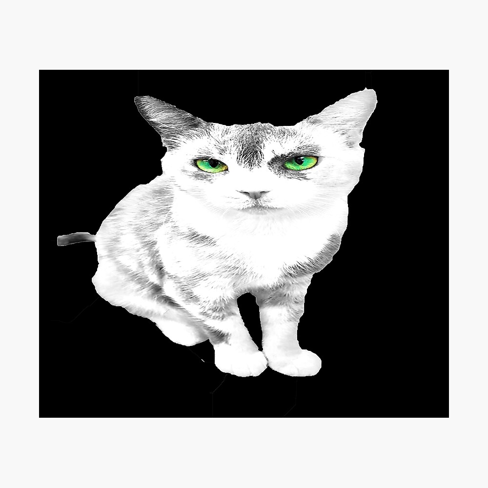 Printception Green Eyes Drawing Of House Cat Adorable Cat Lover Cartoon Cats Cat Eyes Cat Breeds Cute Kitten Pet Love Purr Kitty Tabby Smol Kitties Mew Whiskers Mouser Neko Meow Poster By