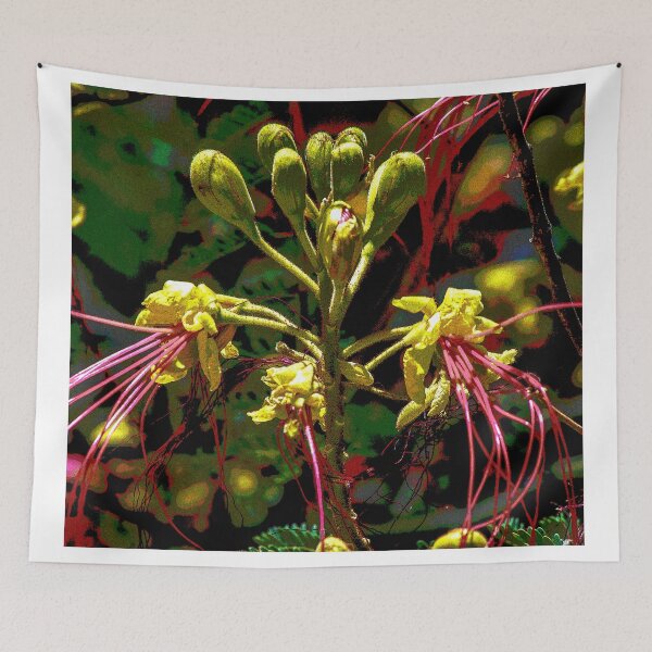 Item preview, Southwest Desert Bird of Paradise Flower in New Mexico designed and sold by William E Lopez.
