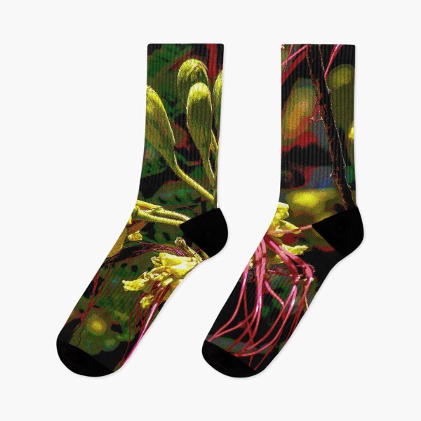 Item preview, Southwest Desert Bird of Paradise Flower in New Mexico designed and sold by William E Lopez.