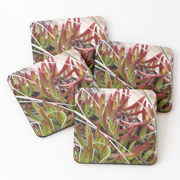 Item preview, Beach Succulent designed and sold by NakedSunday.