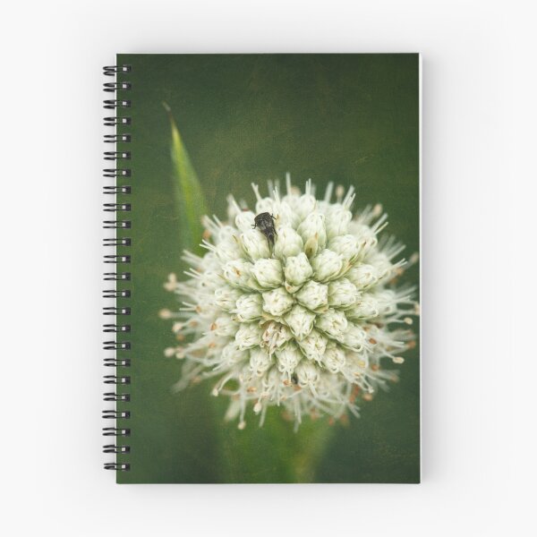 Item preview, Button Snakeroot designed and sold by Texas Enfocus Photography.