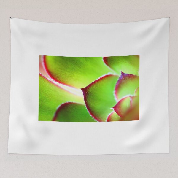 Item preview, Purple Aeonium Macro No2 designed and sold by NakedSunday.