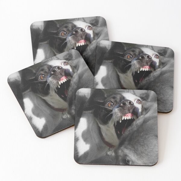 Item preview, Dogs with game face on .2 designed and sold by Alex Preiss.
