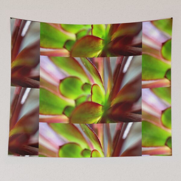 Item preview, Purple Aeonium Macro No1 designed and sold by NakedSunday.