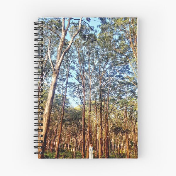 Item preview, Boranup Forrest, Margaret River designed and sold by kroges.