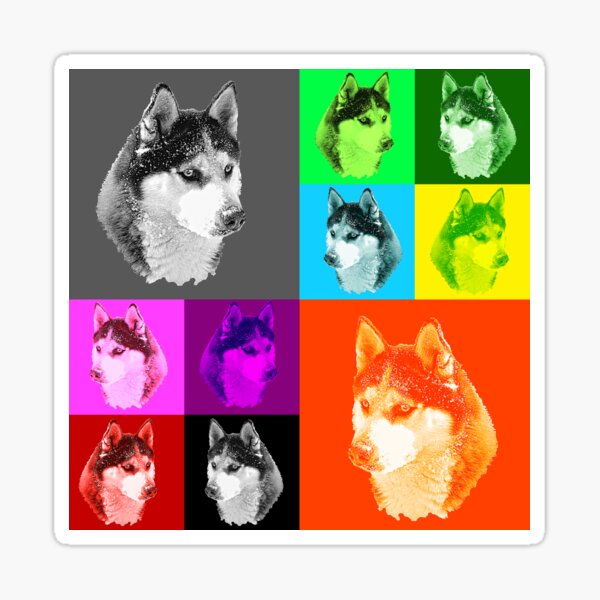 Popart Grafik Husky Sticker
