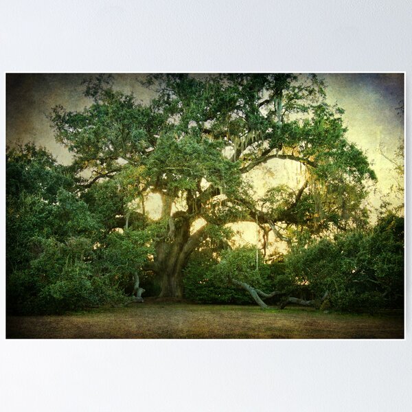 Item preview, The Ruskin Oak designed and sold by Jonicool.