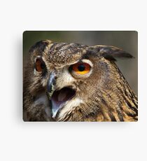 Big Mouth Canvas Print