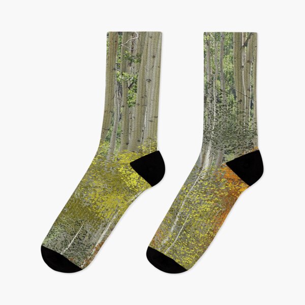 Item preview, Aspen grove designed and sold by ivanoel.